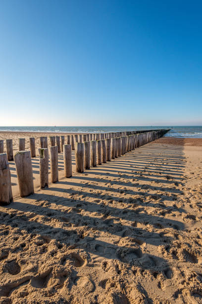 istock Traditional wooden breakwater on an empty Dutch beach 1281139224