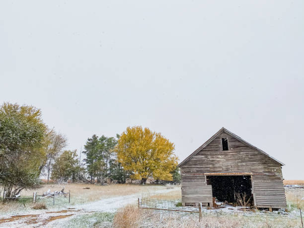 istock First Snow at an Abandoned Farm 1281139643