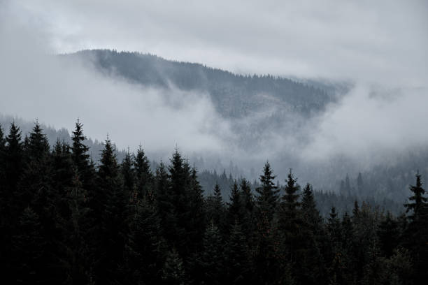 istock Cloudy landscape in the Carpathian mountains. 1281140672