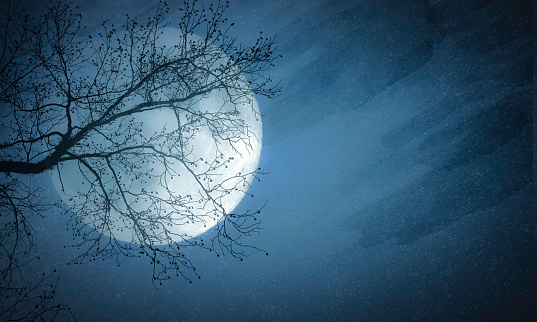 Night Scene of Pale Full Moon and Tree Silhouette -  Copy Space  - Watercolor Background.  Elements of this image furnished by NASA - URL: https://www.nasa.gov/sites/default/files/thumbnails/image/pia00405orig.jpg