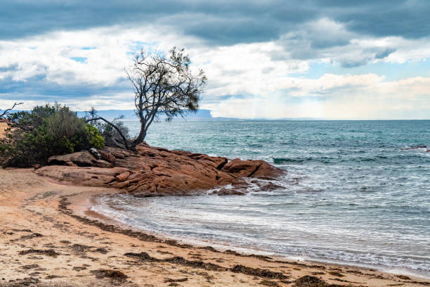 Honeymoon Bay, Freycinet National Park at Freycinet Peninsula Tasmania, Australia Tasmania, Australia. honeymoon bay stock pictures, royalty-free photos & images