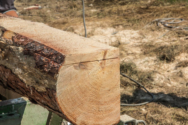 Mobile sawing equipment for logs in the open air. Rural landscape on a sunny day. Mobility and work speed