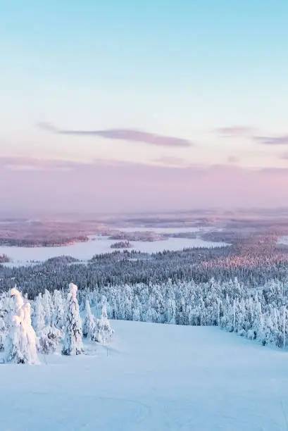 Photo of Ski slope. Beautiful view from the Ruka mountain. Lapland winter landscape.
