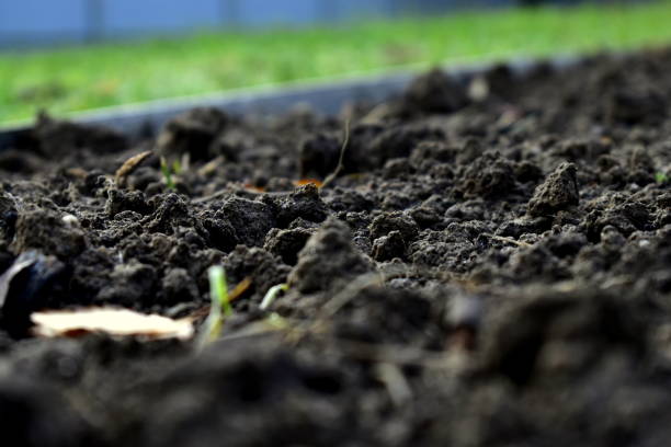 istock cultivated soil in the garden 1281146740