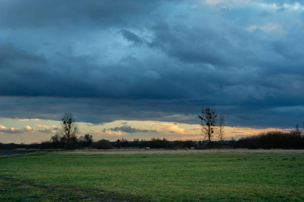 istock Green meadow, trees to the horizon and dark storm clouds 1281152855