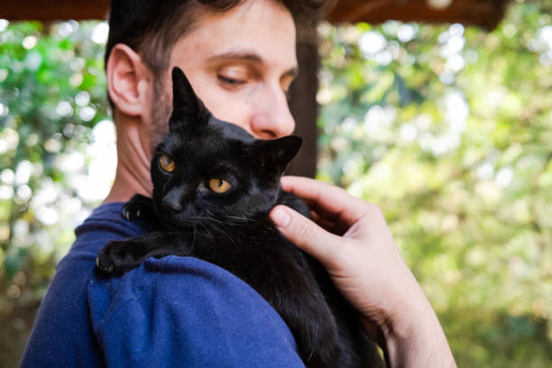 istock Man petting a black cat on his shoulder 1281153858