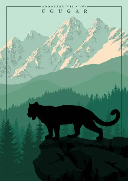 Vector illustration of vector mountain in woodland on Rocky mountains with Puma, Cougar, mountain lion