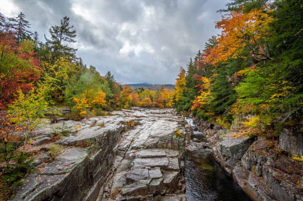 istock Autumn on the swift river 1281161458