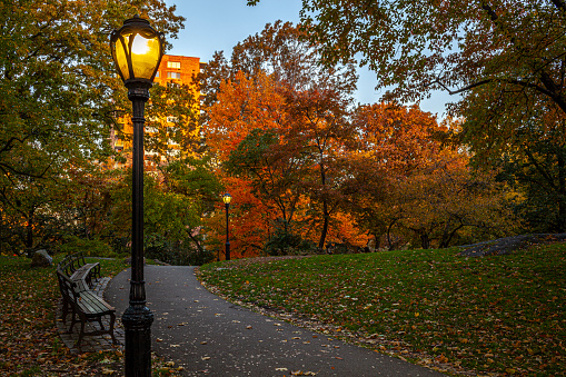 Central Park, New York City in autumn early at sunrise