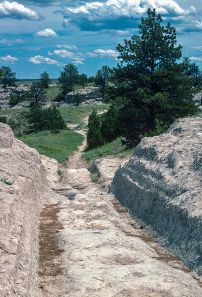 oregon trail ruts - deep ruts vertical - 1981 - slide rock state park - fotografias e filmes do acervo
