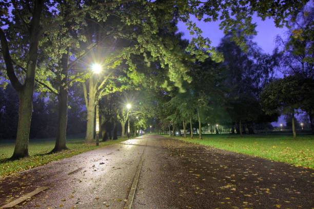 istock Lewityn Park at night - Pabianice 1281162465
