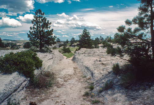 Trail Ruts Oregon Trail Ruts View Into Ruts 1981 Stock Photo - Download Image Now ...