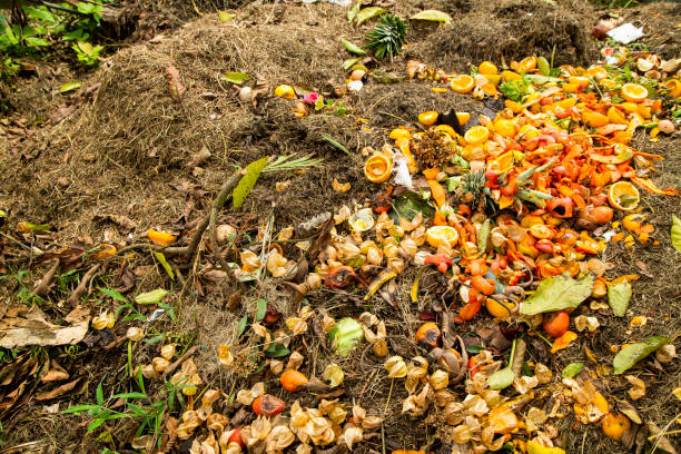 istock Natural homemade compost with organic waste 1281164722