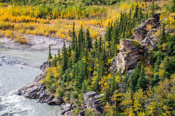 istock Nenana River Gorge valley aerial view in Alaska 1281167282