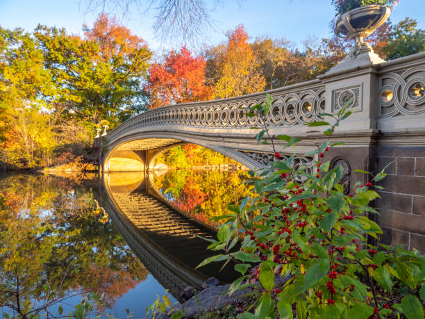 istock Bow bridge in late autumn 1281168153
