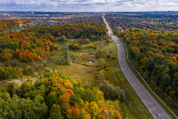 istock Rutherford Road and Boyd Conservation Park in fall, Woodbridge, Vaughan, Canada 1281169965