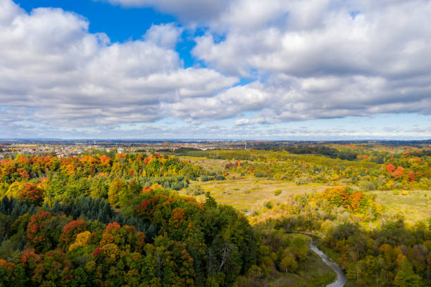 istock Emily Carr Secondary School and Boyd Conservation Park, Woodbridge, Ontario, Canada 1281170289