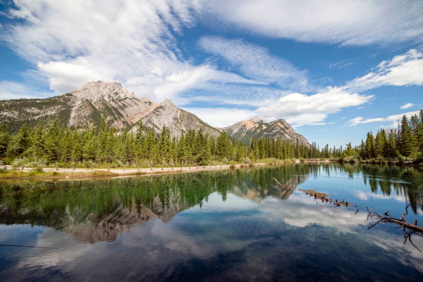 Mountain landscape reflected alpine lake Mountain landscape reflected in Mt. Lorette Ponds in Alberta on a summer day kananaskis country stock pictures, royalty-free photos & images