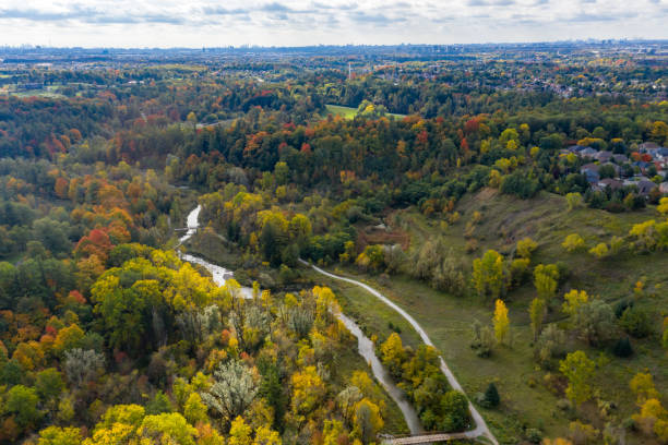 istock Pierre Berton Resource Library and Boyd Conservation Park, Woodbridge, Ontario, Canada 1281170404