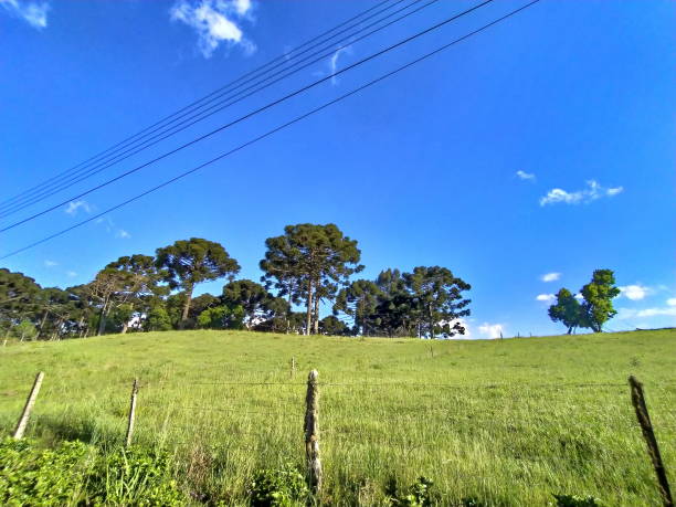 istock Santa Catarina Landscape 1281172823