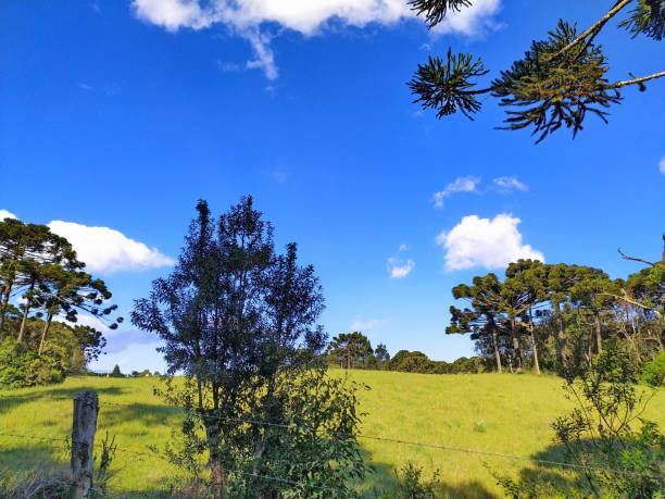 istock Santa Catarina Landscape 1281172887