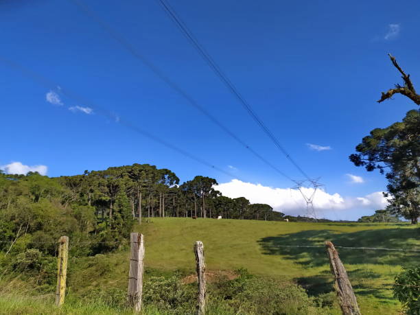 istock Santa Catarina Landscape 1281172888