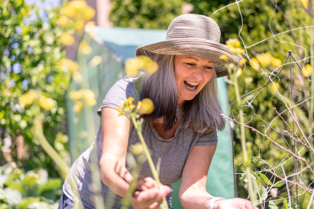istock A senior woman enjoys her garden 1281172896