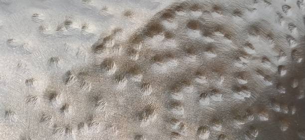 Gouges In Metal Surface 220+ Gouges Stock Photos, Pictures & Royalty-Free Images - iStock