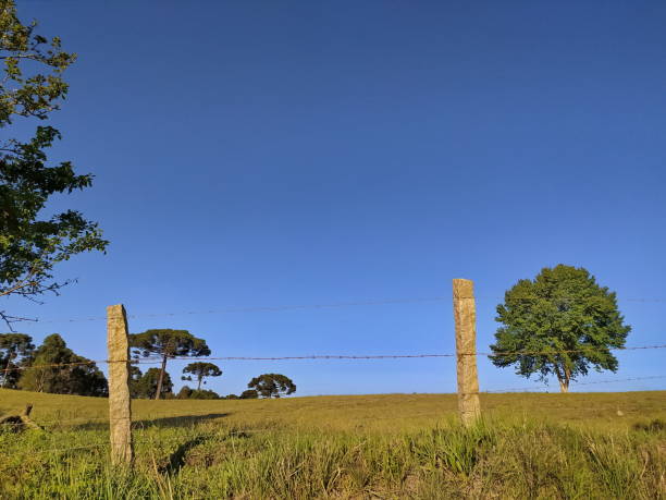 istock Santa Catarina Landscape 1281174483