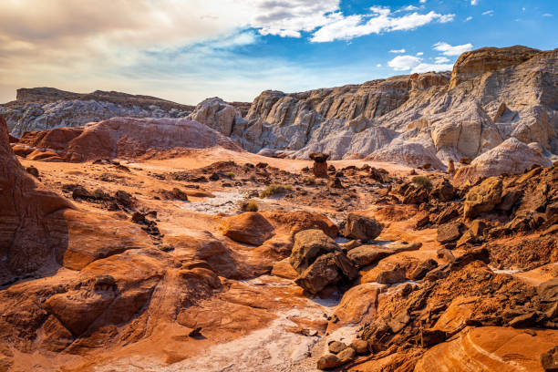 istock The Toadstool Trail at Grand Staircase Escalante National Monument 1281176220