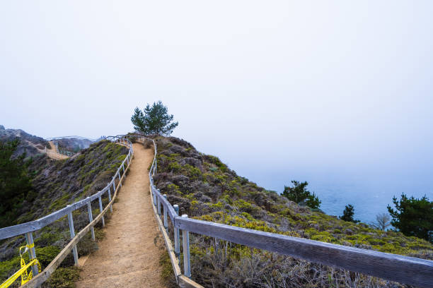 istock Iconic observation point at Muir Overlook in San Francisco with fog 1281180320