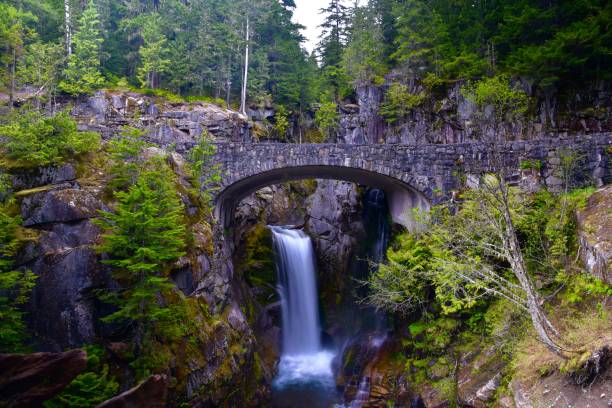 istock Waterfall in Mount Ranier National Park 1281180328