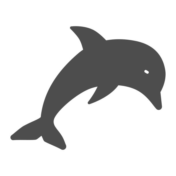 dolphin solidna ikona, koncepcja życia morskiego, podwodny znak świata na białym tle, skacząca ikona delfinów w stylu glifów dla koncepcji mobilnej i projektowania stron internetowych. grafika wektorowa. - dolphin jumping sea animal stock illustrations