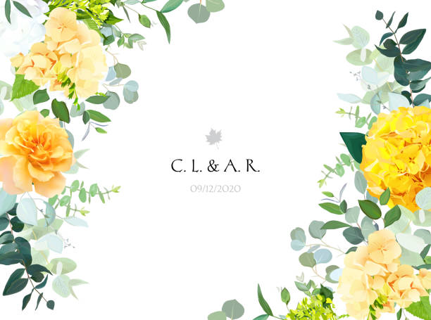 Yellow hydrangea, mustard rose, peony, white iris, orchid, spring garden flowers Yellow hydrangea, mustard rose, peony, white iris, orchid, spring garden flowers, eucalyptus, greenery, fern,vector design frame.Wedding summer bouquet sides card. Elements are isolated and editable vector rose bouquet stock illustrations