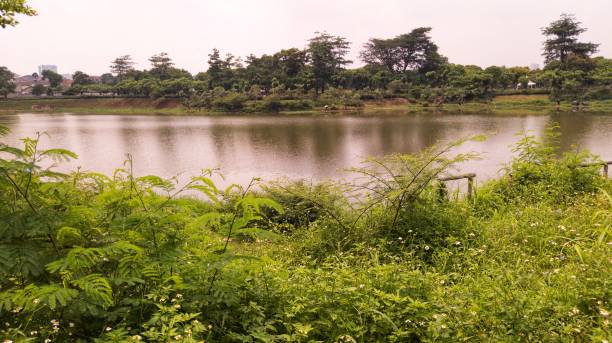 istock Golden lake water view by sky reflection 1281182039