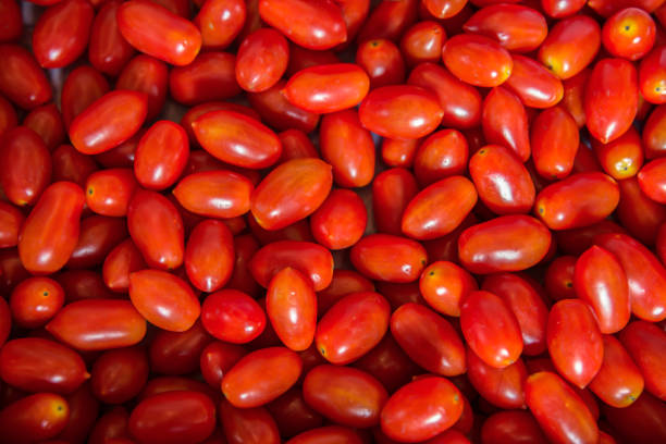istock Malaysia, Agriculture, Backgrounds, Basket, Cherry Tomato 1281182665