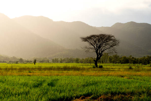 istock Rural landscape North of Thailand 1281187403