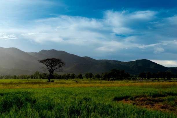 istock Rural landscape North of Thailand 1281187404