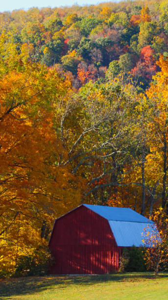 330+ Old Pennsylvania Barn Stock Photos, Pictures & Royalty-Free Images ...
