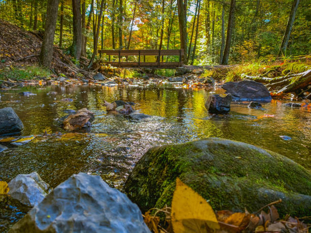 istock Creek at Colonel Denninf State Park, PA 1281188172