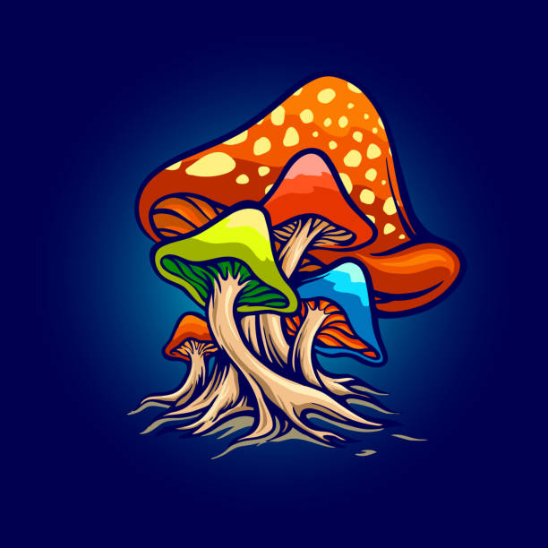 ilustrações de stock, clip art, desenhos animados e ícones de fungus red mushrooms illustrations for your work merchandise clothing line, stickers, and poster, vector designs - edible mushroom mushroom fungus colony