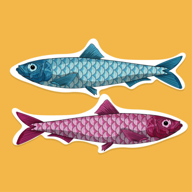 Vector cartoon illustration of sardine fish with wood block effect. Red and green Printbale illustration of engraving artworks of fishes trout illustrations stock illustrations