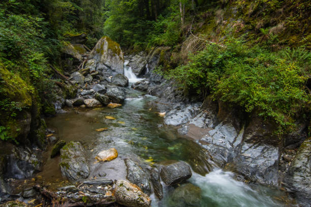 istock clear mountain torrent with rocks in the forest 1281194739