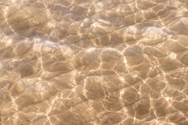 istock Sandy seabed under shallow water with refraction lines 1281198239