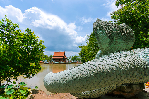 Naga statue and wooden church in the middle of the water, Buddhist temple In Pathum Thani Province in Thailand