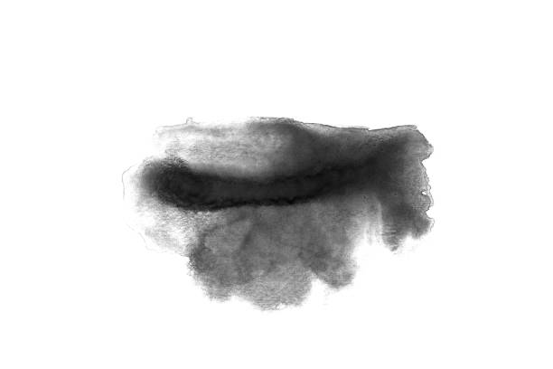 istock Black ink spread on white background,Black watercolor,Ink Abstract 1281207093