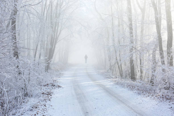 istock winter walk in beautiful sunny morning 1281209975