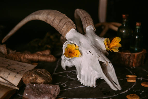 istock White goat scull with horns, flowers, open old book, candles on witch table. 1281210136