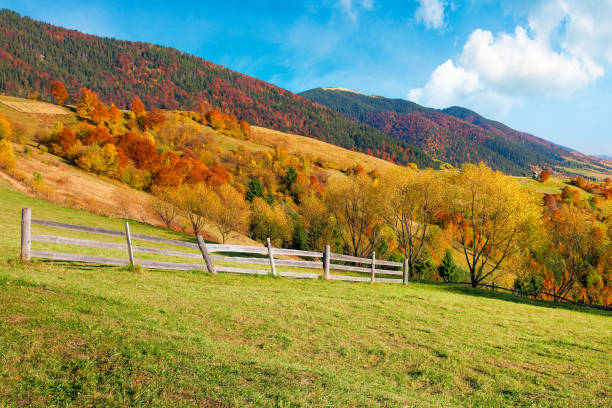 istock rural landscape in mountains 1281211283