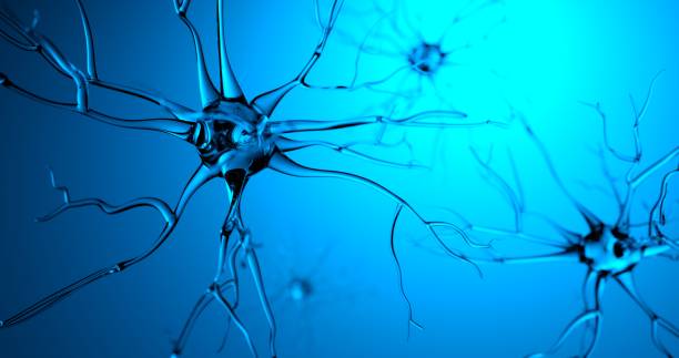 istock 3D rendering transparent nerve moving made in CG 1281211493